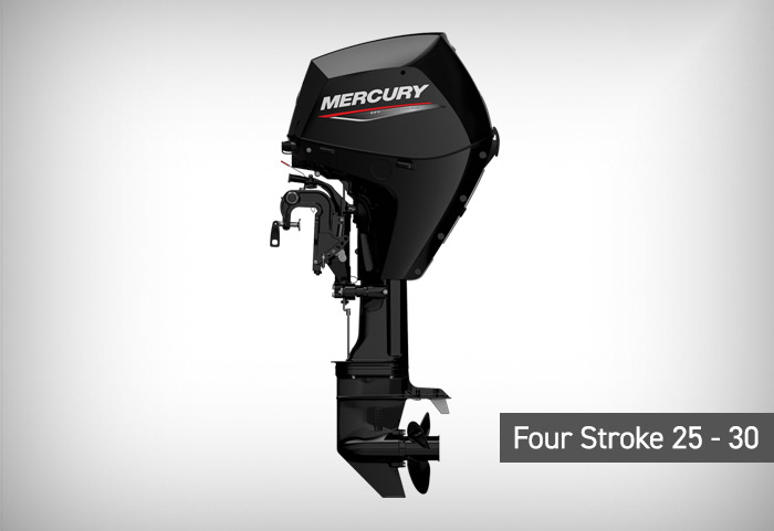 Four stroke 25 30